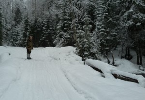 Лыжный поход дорога