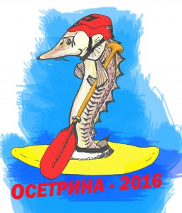 Осетрина-2016